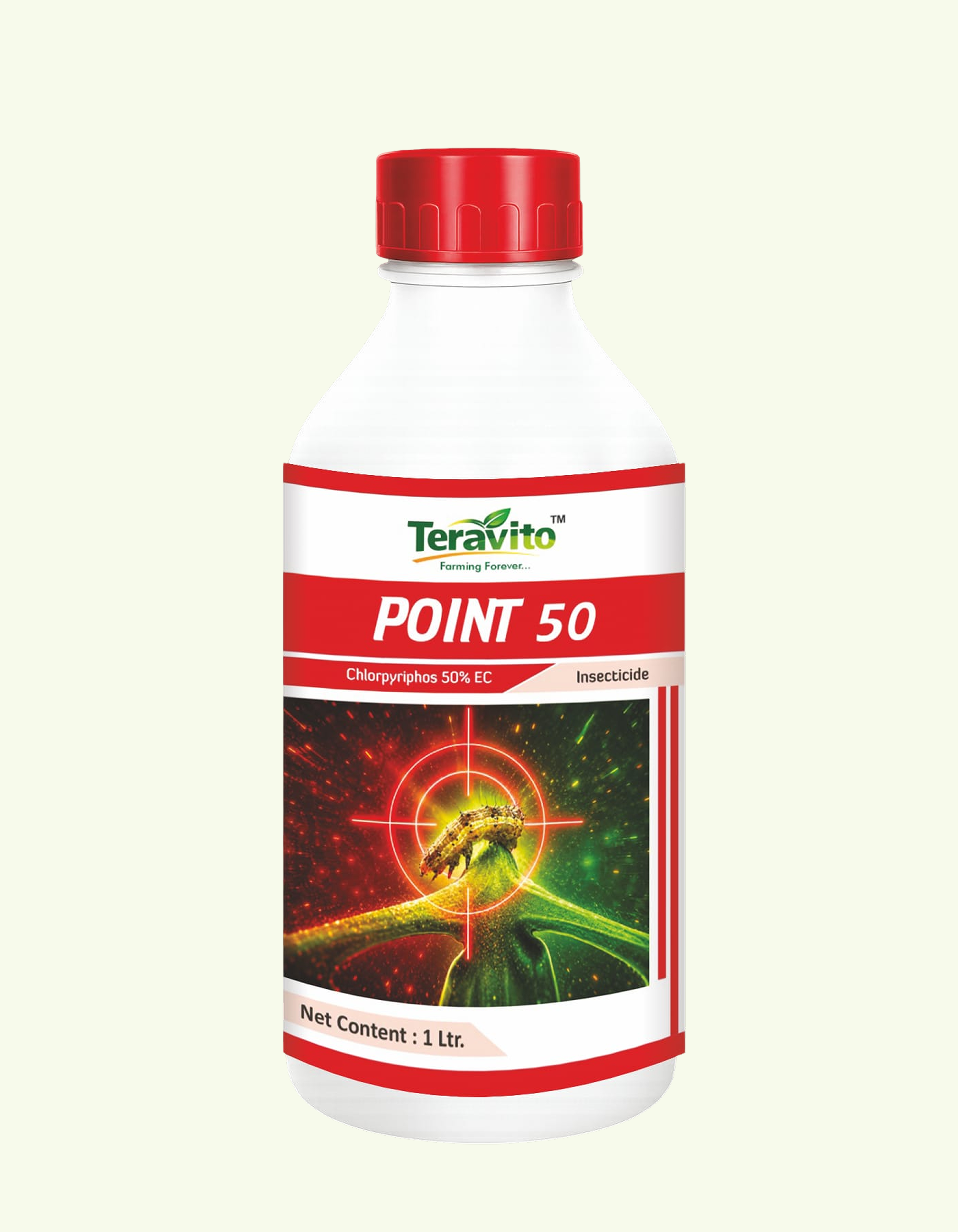 POINT 50